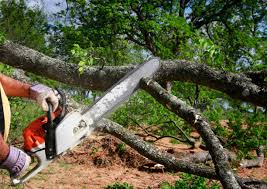 Best Seasonal Cleanup (Spring/Fall)  in Pine Beach, NJ